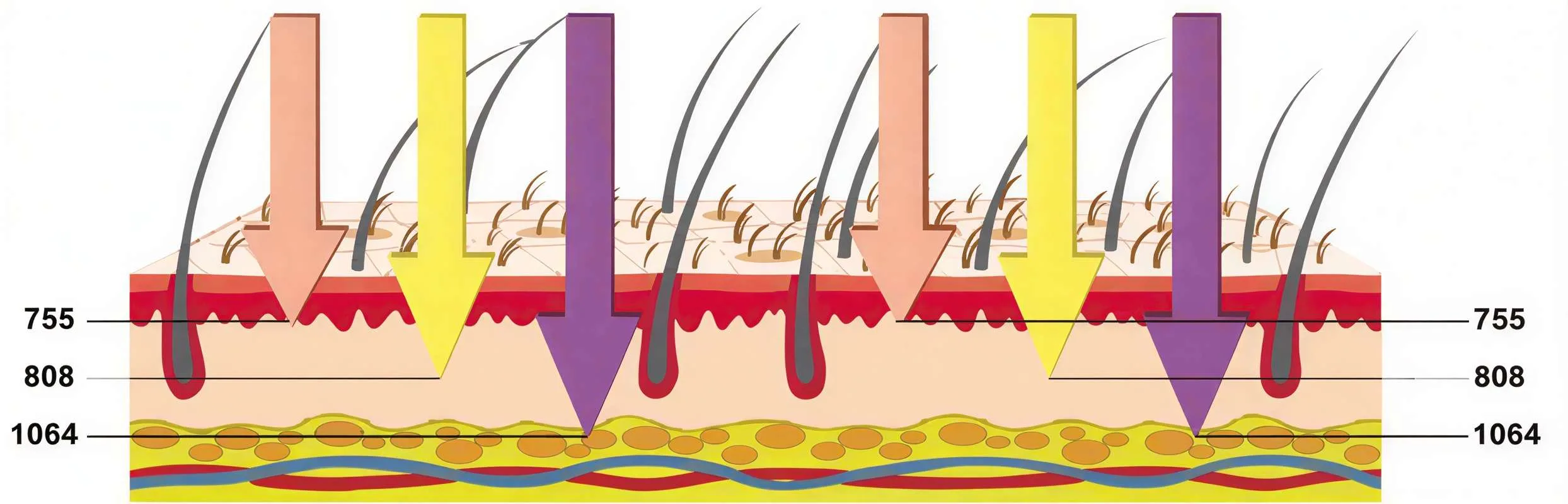 Schéma Longueurs d'onde